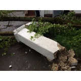 Поваленное дерево - 4.jpg